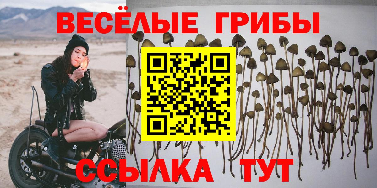 Псилоцибиновые грибы MAGIC MUSHROOMS Всеволожск