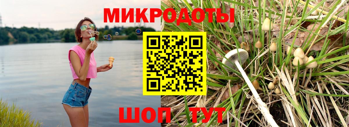 Галлюциногенные грибы GOLDEN TEACHER  Вход с VPN  Всеволожск  Галлюциногенные грибы Magic Shrooms 